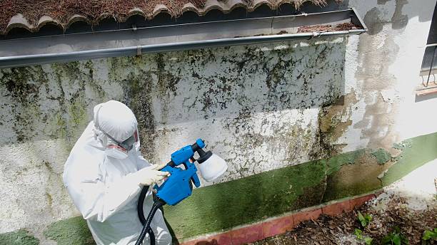 Top rated local Mold Remediation specialists in Somerset, PA